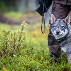 FJÄLLRÄVEN Bolt Case -Outdoor Adventure Shop f77054 ss19 a bolt case fjaellraeven 21