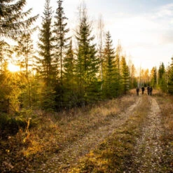 FJÄLLRÄVEN Rifle Case -Outdoor Adventure Shop square mood fw20 hunting anette andersson 221019 3108